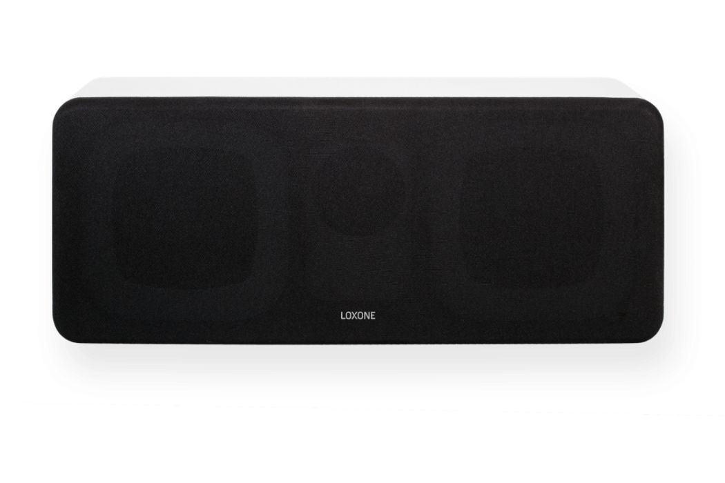 Wall Speaker